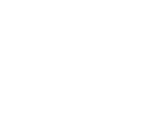 VICDOMIC